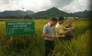 河源市东源县生物肥料应用推广试验成效显著