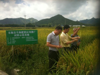 河源市东源县生物肥料应用推广试验成效显著