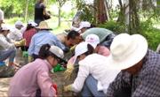 汕头龙湖区绍河珍珠科普教育基地举办“珍珠科普日”活动