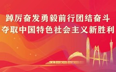 党的二十大广东省代表团举行全体会议 推选李希为团长，王伟中、孟凡利为副团长