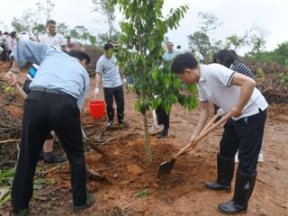 省科协系统义务植树主题党日活动在广州从化举行