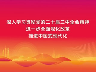 学习宣传贯彻党的二十届三中全会精神