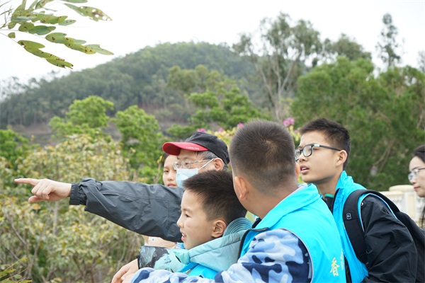 介绍青马大桥