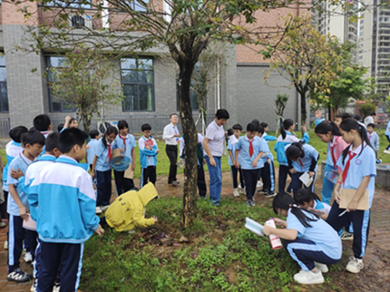 科学家精神进校园带领学生调查校园植物