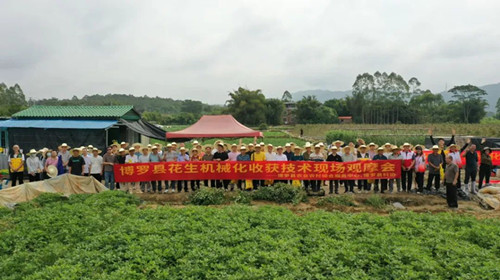 博罗县花生机械化收获现场观摩会1_副本