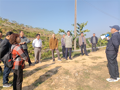 茂名市老科协深入高州市宝光街道曹垌村调研指导释迦果种植工作